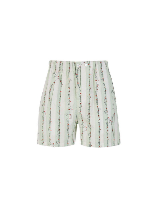 Photo: Bottega Veneta Printed Poplin Bermuda Shorts