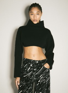 Marni Turtleneck Cropped Sweater