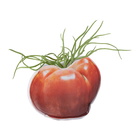 Collina Strada SSENSE Exclusive Red Benjamin Langford Edition Small Tomato Planter Cover