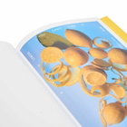 Rizzoli Squeeze Me: Lemons, Recipes & Art in Ruthie Rogers/Ed Ruscha 
