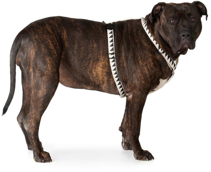 Photo: See Scout Sleep Off-White & Black Extra Large Nice Grill Standard Harness