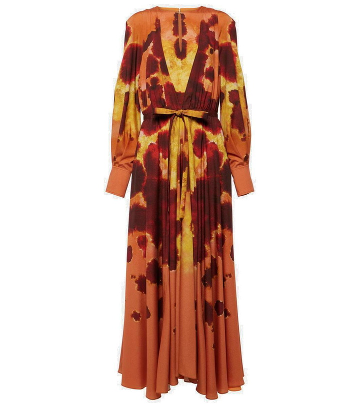 Photo: Altuzarra Peirene printed midi dress