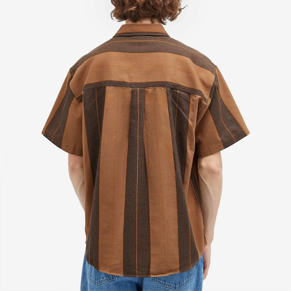 Polar Skate Co. Men's Mitchell Strip Short Sleeve Shirt in