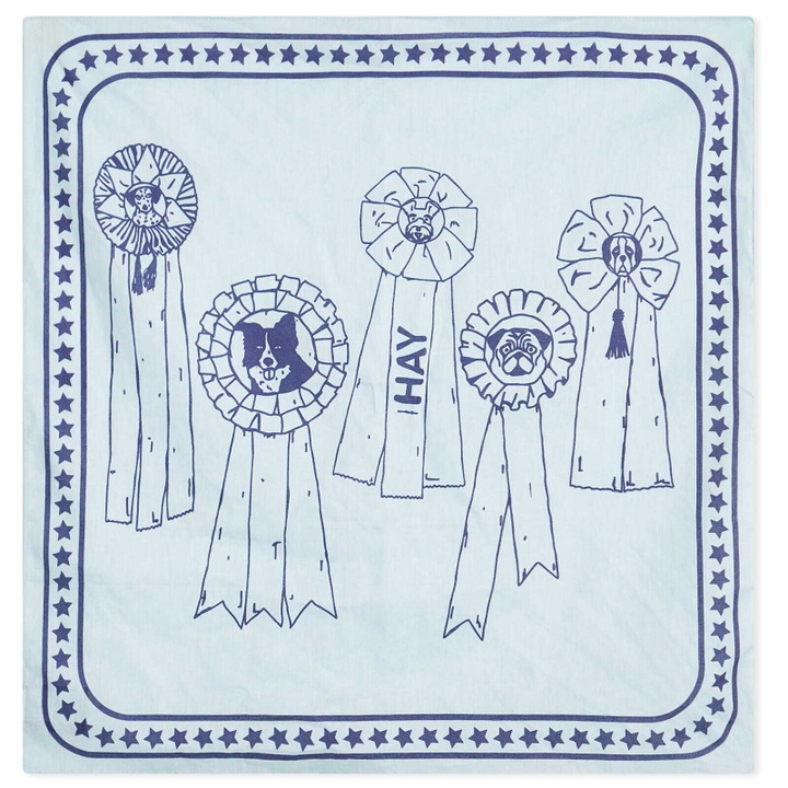 Photo: HAY Dog Scarf in Light Blue 