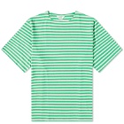 DIGAWEL Men's Stripe T-Shirt in Green