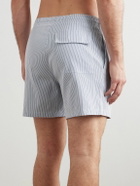 Loro Piana - Daneu Straight-Leg Mid-Length Striped Swim Shorts - Blue