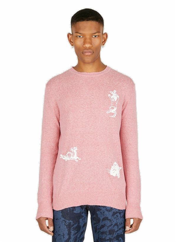 Photo: Chimera Sweater in Pink