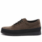Tarvas Men's Explorer Black Sole Edition in Dark Brown