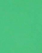 Herno Mens Polo shirt in Green