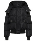 Alexander McQueen Logo puffer jacket