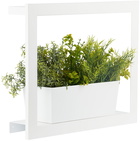 Modern Sprout White Smart Growhouse Planter