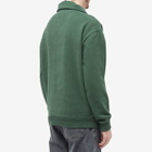 Bram's Fruit Men's Polo Half Zip Sweater in Green