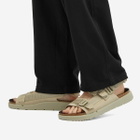 Birkenstock Shinjuku in Eucalyptus