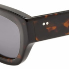Ace & Tate Women's Kiki Sunglasses in Mulburry Tree