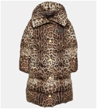 Dolce&Gabbana Leopard-print puffer coat