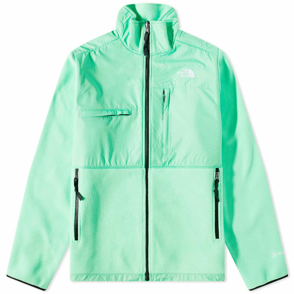 The North Face DENALI JACKET - Fleece jacket - chlorophyll  green/black/green - Zalando.de