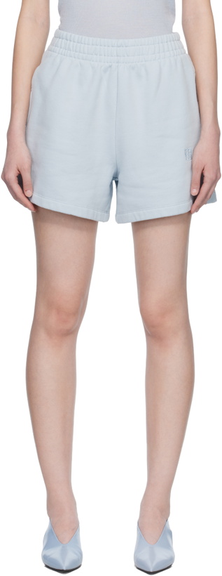 Photo: ANINE BING Blue Kam Framed Monogram Shorts