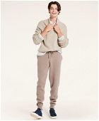 Brooks Brothers Men's Wool Cashmere Jogger Pants | Taupe