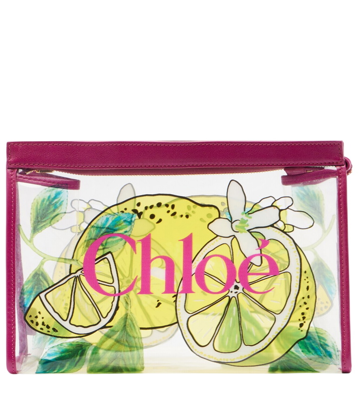 Photo: Chloé Soleil Small leather-trimmed pouch