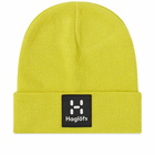 Haglofs Men's Haglöfs Maze Beanie in Aurora