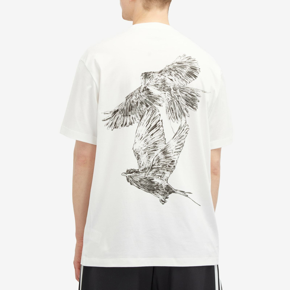 Y-3 Men's Bird Graphic T-Shirt in White Y-3