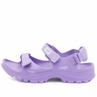 Suicoke Men's Wake Sneakers in Purple