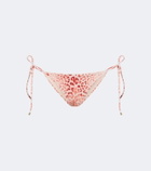 Roberto Cavalli Leopard-print bikini bottoms