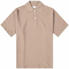 Lady White Co. Men's Two Button Polo Shirt in Dried Rose