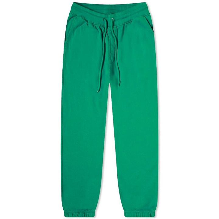 Photo: Colorful Standard Classic Organic Sweat Pant in Kelly Green