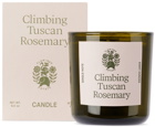Flamingo Estate Climbing Tuscan Rosemary Candle, 8 oz