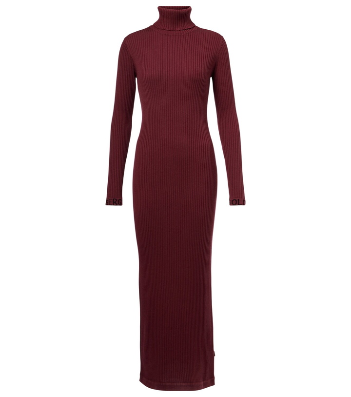 Photo: Goldbergh Mireille ribbed-knit turtleneck midi dress