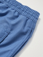 Loro Piana - Mid-Length Swim Shorts - Blue