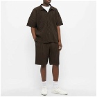 Homme Plissé Issey Miyake Men's Pleated Vacation Shirt in RmbrndtBrw