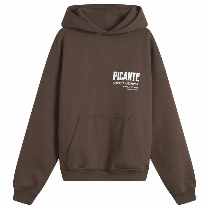 Photo: Picante Men's Fratelli Hoodie in Brown
