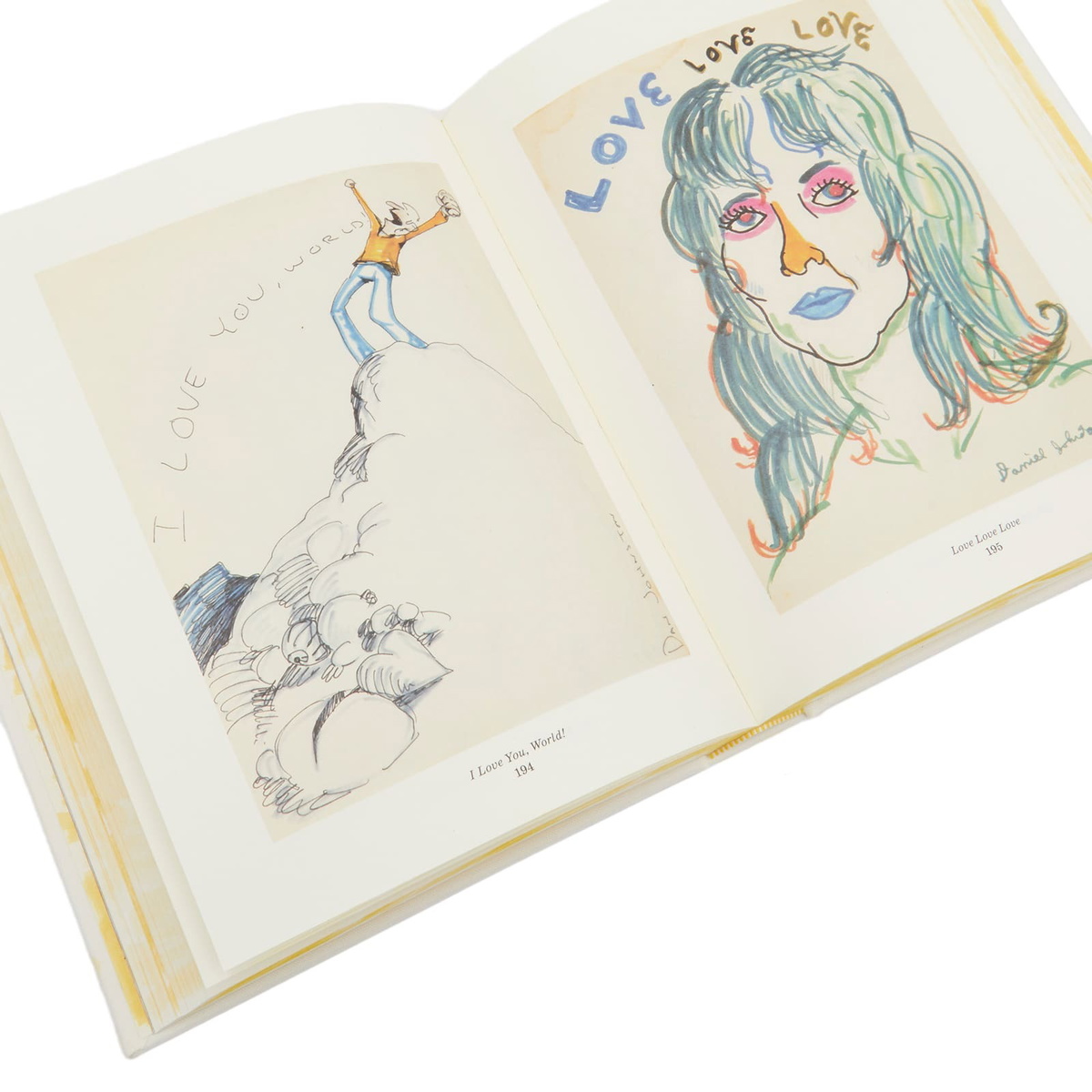 Rizzoli Daniel Johnston in Lee Foster/Dick Johnston/Robin K. Williams 