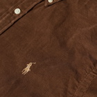 Polo Ralph Lauren Men's Corduroy Shirt in Chocolate Mousse