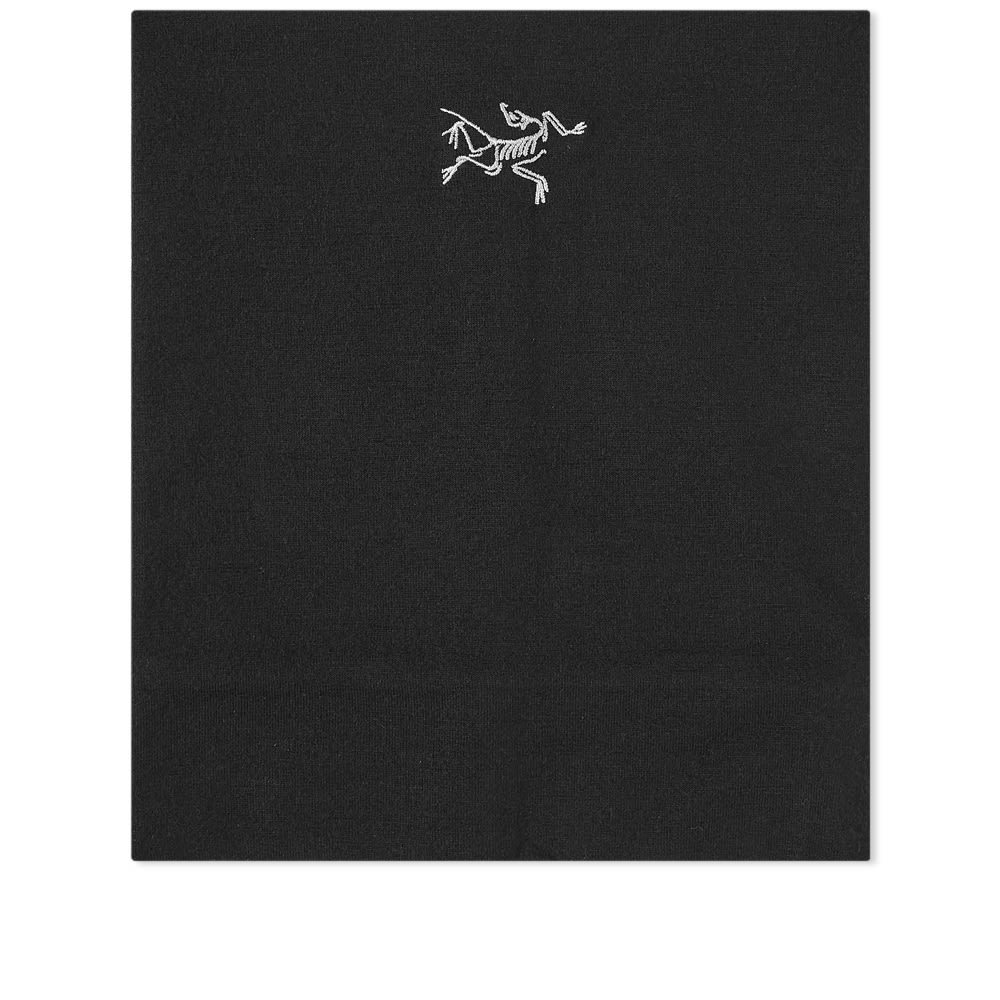 Arc'teryx RHO LTW Neck Gaiter Arc'teryx