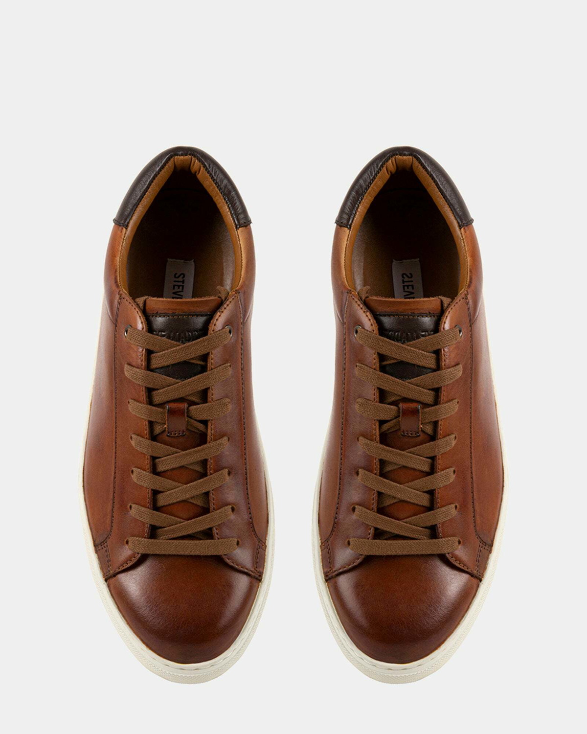 Steve Madden Fogarty Casual Shoes in Tan
