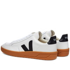 Veja V-12 Leather Sneaker