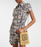 Loewe Paula's Ibiza raffia pouch with strap