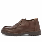 Astorflex Men's Beenflex Grain Leather Shoes in Caffe
