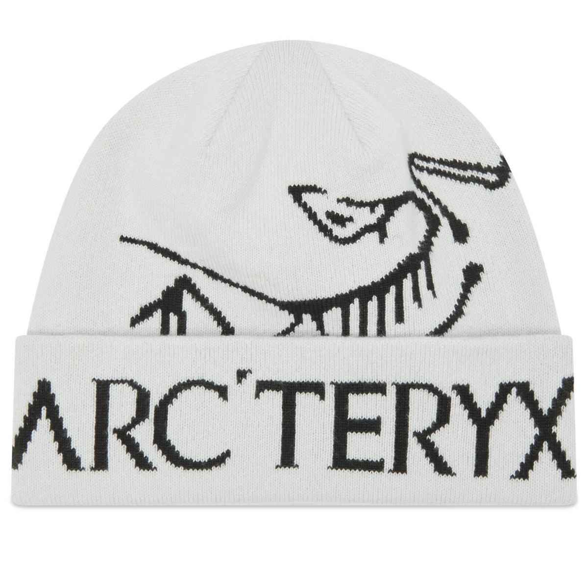 Arc'teryx Bird Word Toque in Orca 
