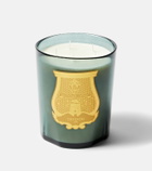 Trudon Figuerie Great scented candle