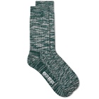 Hikerdelic Men's Seaside Sock in Seaweed