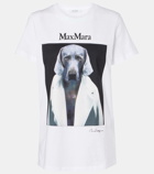 Max Mara Cipria printed cotton jersey T-shirt