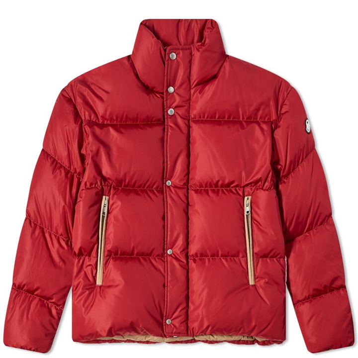 Photo: Moncler Men's Genius 8 Palm Angels Panamint Palm Down Jack in Brown