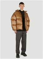 Shiny Hooded Down Jacket in Brown