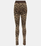 Dolce&Gabbana High-rise leopard-print leggings
