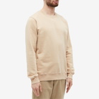 Colorful Standard Men's Classic Organic Crew Sweat in Honey Beige