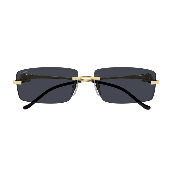 Photo: Cartier Eyewear Ct0430s 001 Sunglasses
